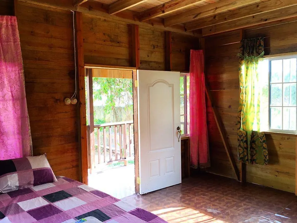 T&T - Tatty And Tony Guesthouse Negril Apartment