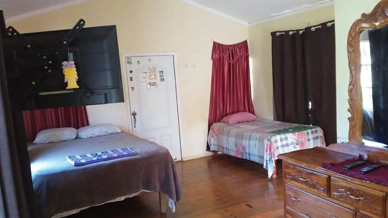 T&T - Tatty And Tony Guesthouse Negril Appartement